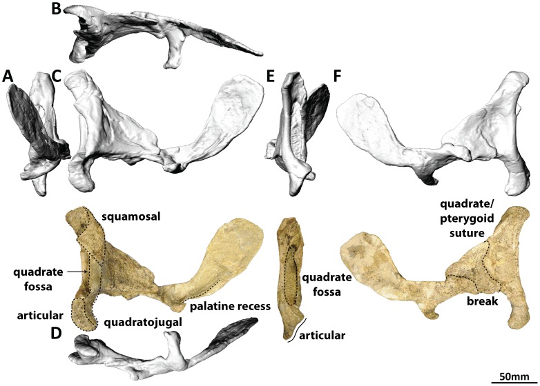 Figure 12