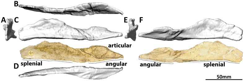 Figure 19