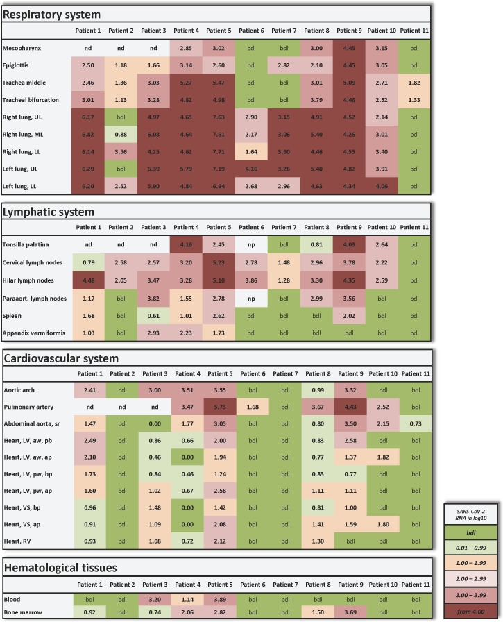 Figure 1—figure supplement 1.