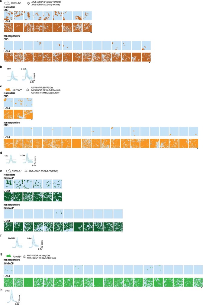 Extended Data Fig. 6