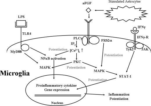 FIGURE 10.