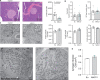 Figure 2—figure supplement 2.