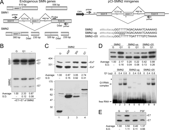 FIG. 4.