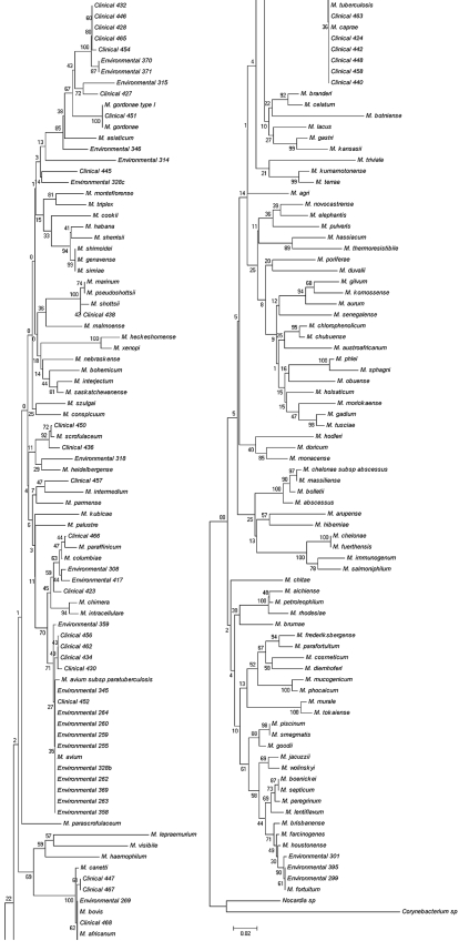 FIG. 1.