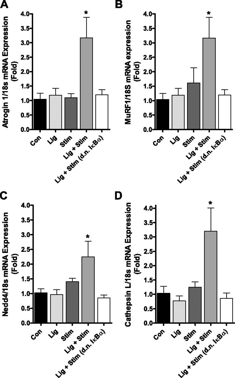 Fig. 4.