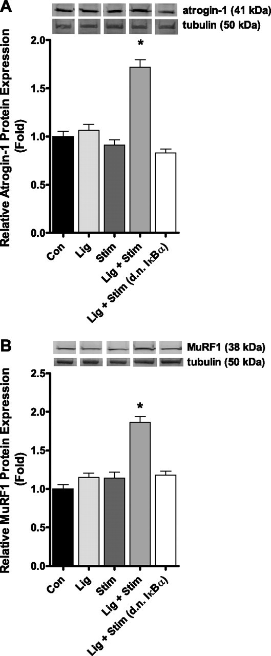 Fig. 5.