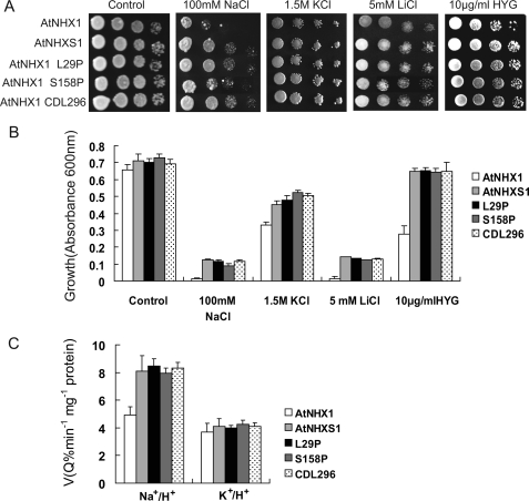 FIGURE 6.