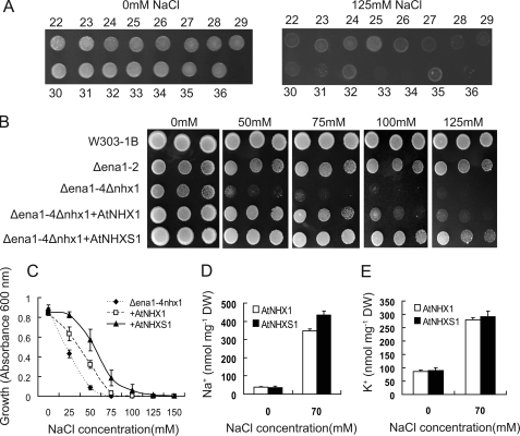 FIGURE 2.