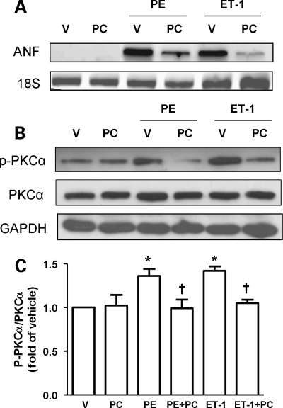 Figure 6