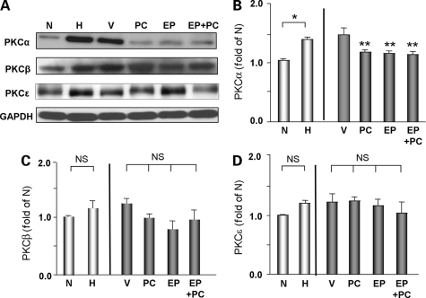 Figure 5