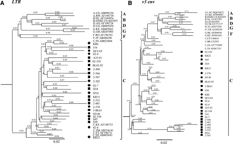 FIG. 2.