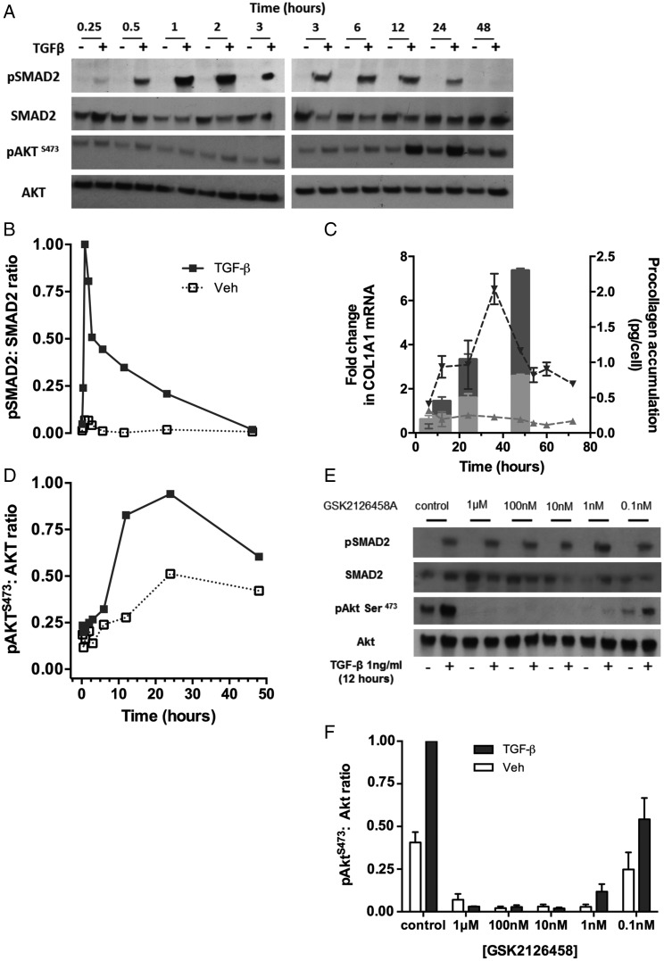 Figure 7