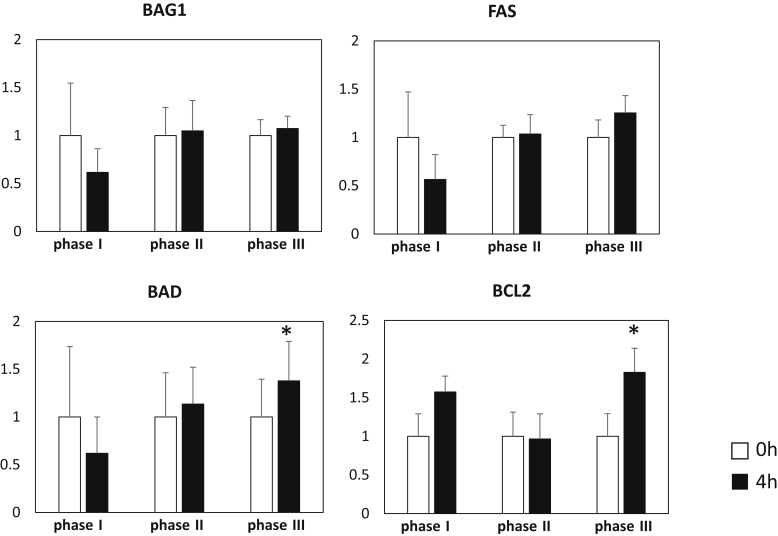 Figure 3