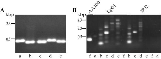 FIG. 2.