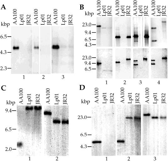 FIG. 3.