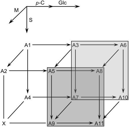 Figure 9.