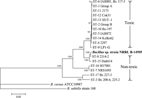 Fig. 1.