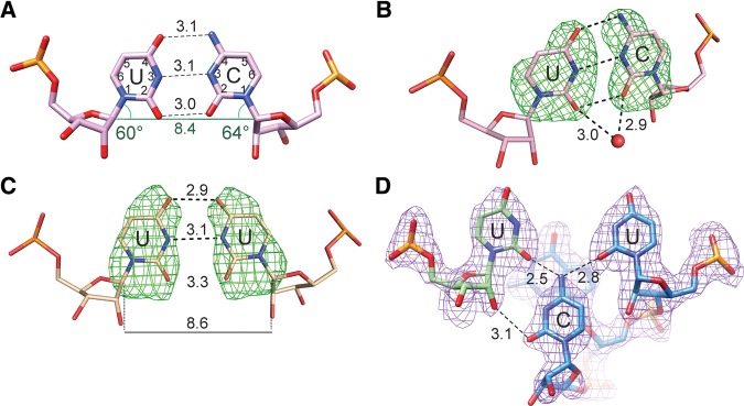 FIGURE 2.