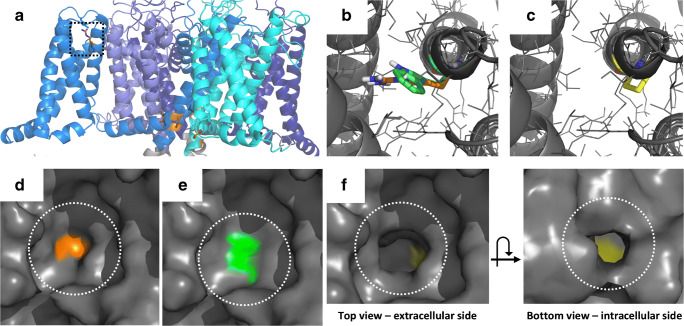 Fig. 4