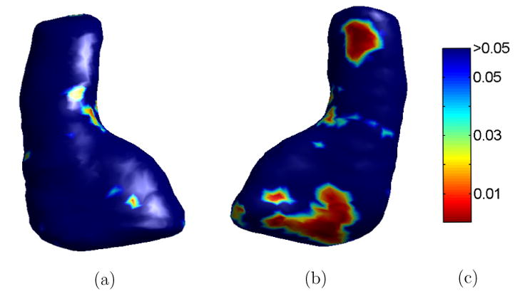 Fig. 19