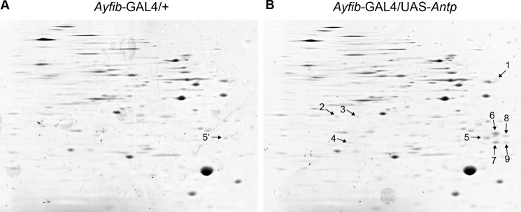 FIGURE 3.