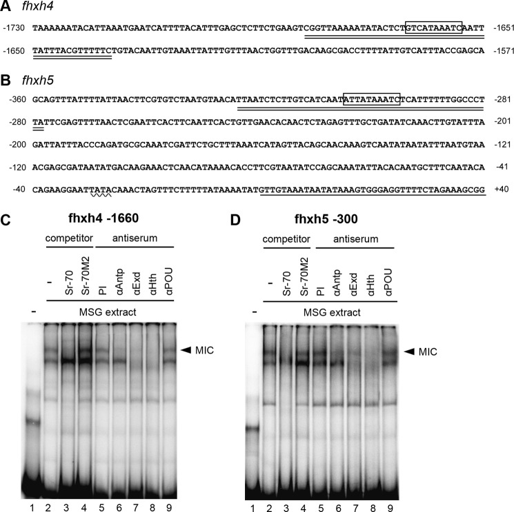 FIGURE 7.