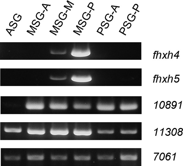 FIGURE 6.