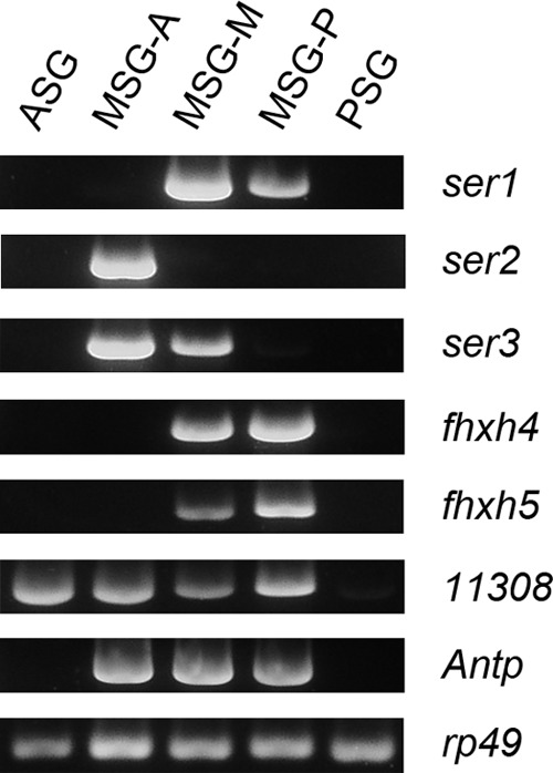 FIGURE 9.