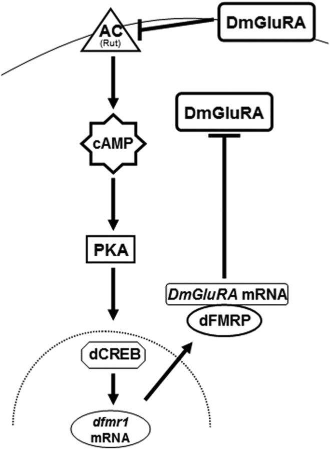 Figure 9.