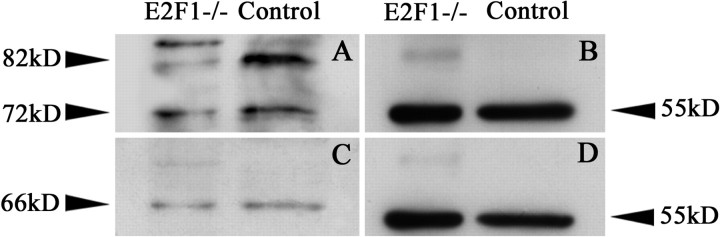 
Figure 10.
