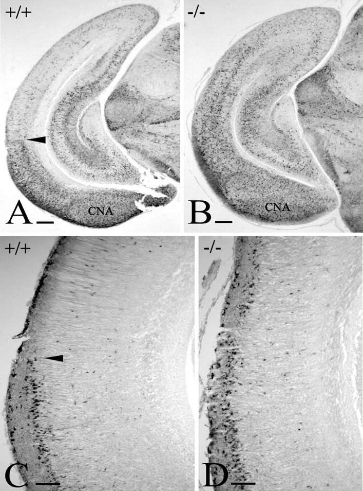 
Figure 9.
