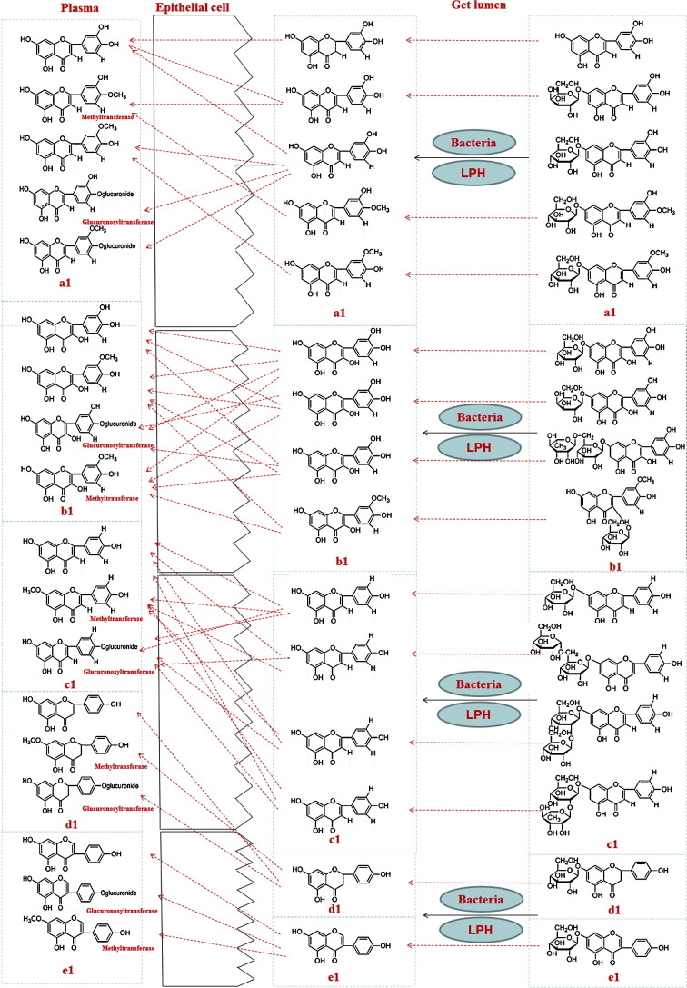 Fig. 8