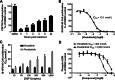 Figure 2. Cellular activity of vimseltinib. A, Time course of inhibition of CSF1R phosphorylation in THP1 cells after compound washout. Cells were treated with 1 µmol/L vimseltinib for 2 hours prior to washout. CSF1R phosphorylation was detected by ELISA. B, Inhibition of M-NFS-60 cell proliferation. C, Effect of CSF1 ligand concentration on inhibition of M-NFS-60 cell proliferation by vimseltinib and pexidartinib. D, Inhibition of CSF1-stimulated phosphorylation of ERK downstream of CSF1R signaling by vimseltinib and pexidartinib in human whole blood.