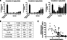 Figure 3. Pharmacokinetics/pharmacodynamics of vimseltinib in a mouse model. A, Steady-state inhibition of CSF1-stimulated cFOS expression after 6 days of oral dosing. B, Pharmacokinetic parameters of vimseltinib at steady state in mice. AUC(0–24) = area under the plasma concentration–time curve from 0–24 hours; Cl_obs = total body clearance; Cmax = maximum concentration; Tmax = time to maximum concentration; T½ = half-life; Vz_obs = volume of distribution. C, Plot of individual mouse spleen cFOS expression versus vimseltinib plasma concentration, with EC50 = 430 ng/mL.