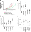 Figure 5. Vimseltinib inhibition of tumor growth and effects on the immune system in the syngeneic MC38 colorectal cancer mouse model. A, Mean tumor burden of treatment groups (n = 10/cohort). Mice were dosed days 12–39. B, Levels of macrophages in excised tumors after 3 weeks of treatment. C, Levels of CD8+ cytotoxic T cells in excised tumors after 3 weeks of treatment. D, Levels of Tregs in excised tumors after 3 weeks of treatment.