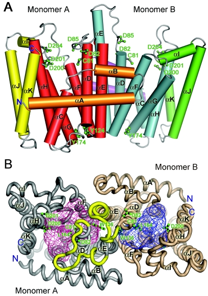 FIG. 2.