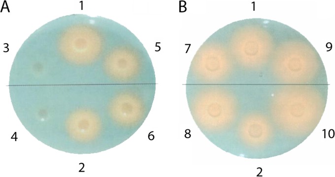 FIG 3