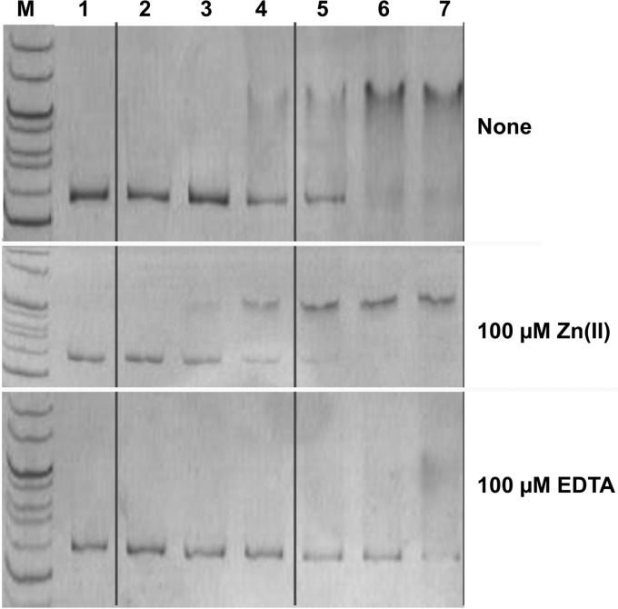 FIG 6