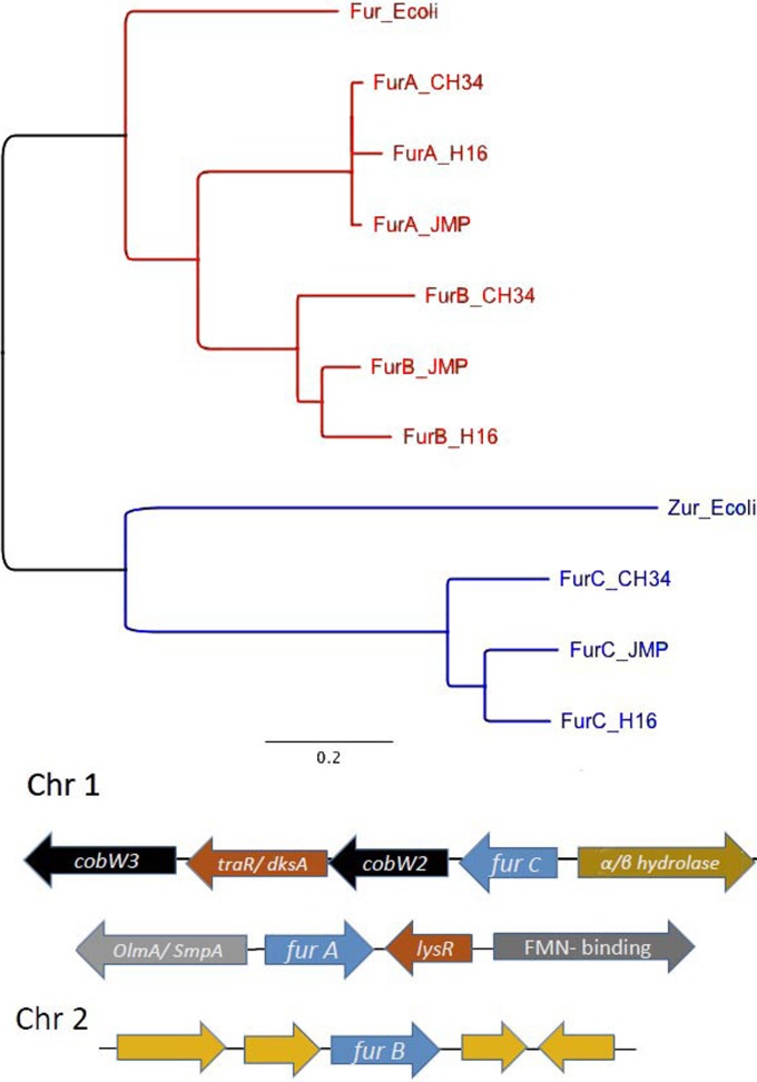 FIG 1