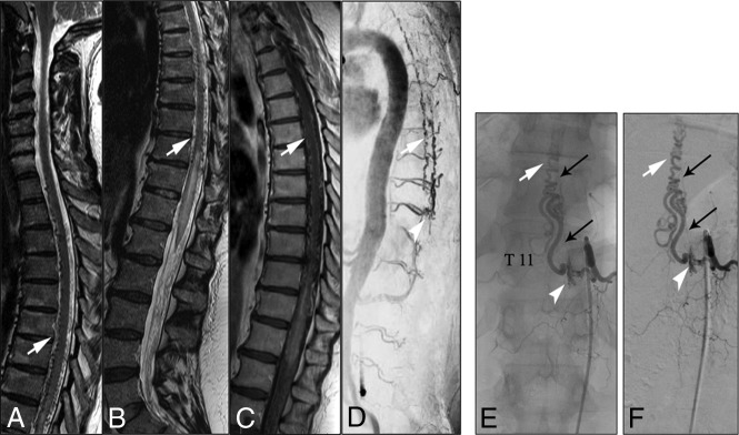 FIG 3.