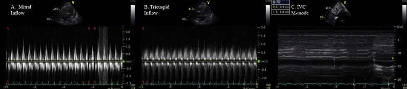 Figure 3