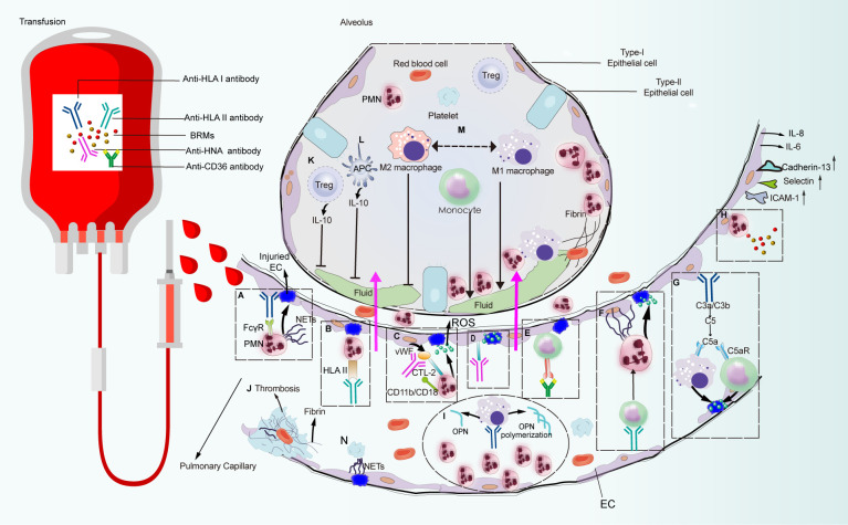 Figure 3