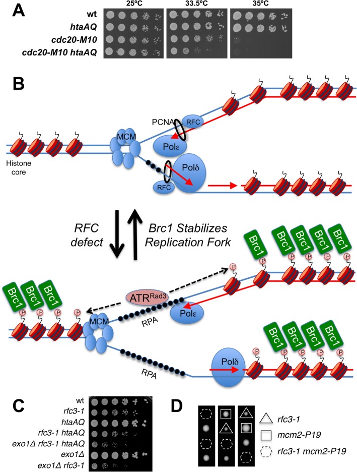 Fig 8