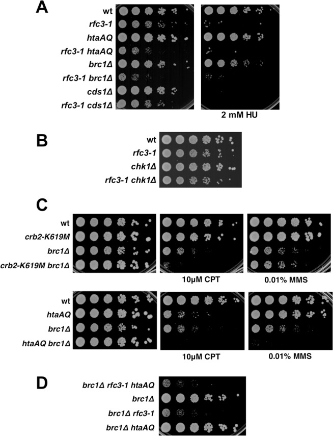 Fig 5