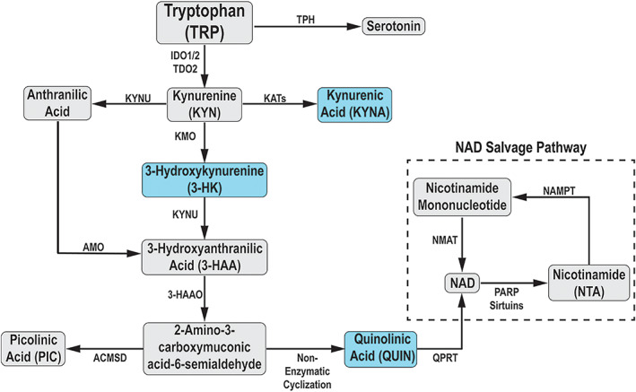 FIG. 1