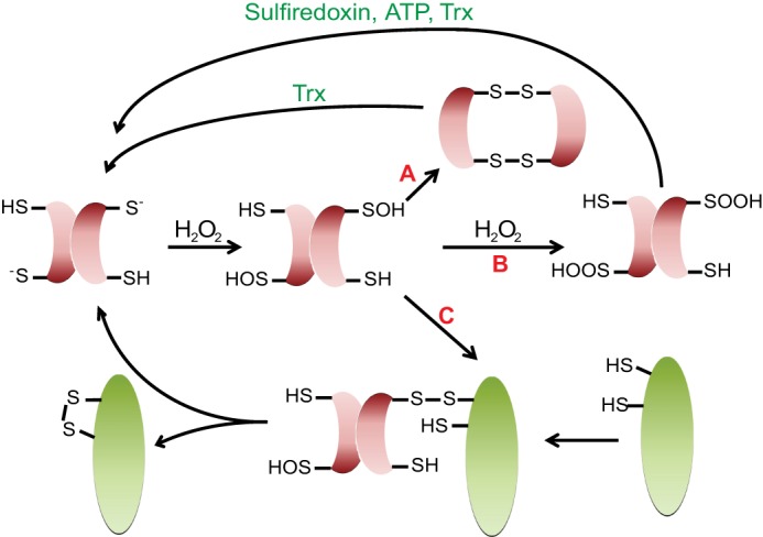 FIGURE 3.