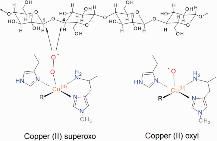 Figure 3: