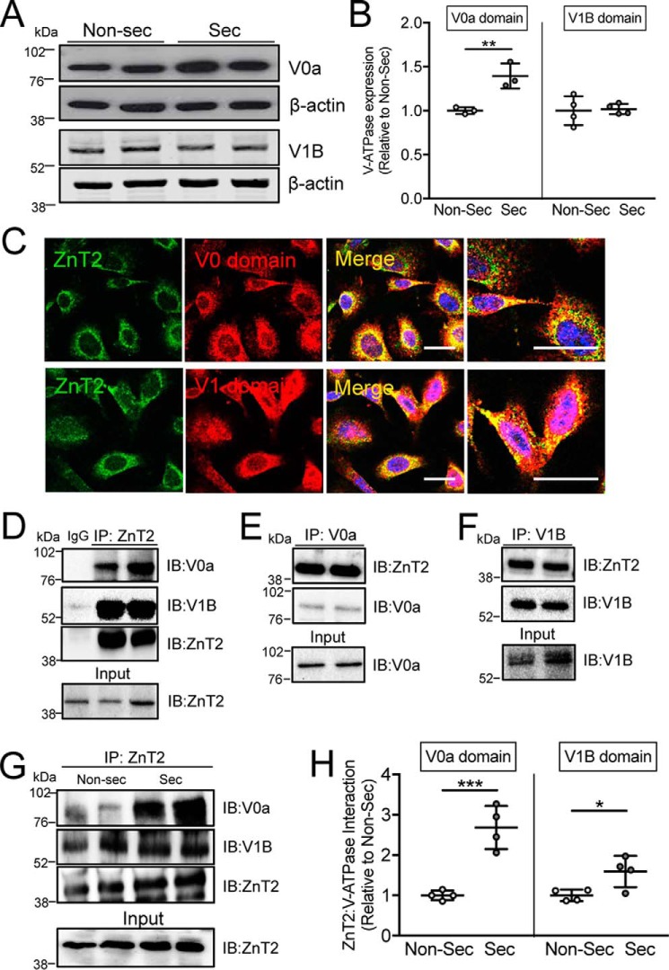 Figure 6.