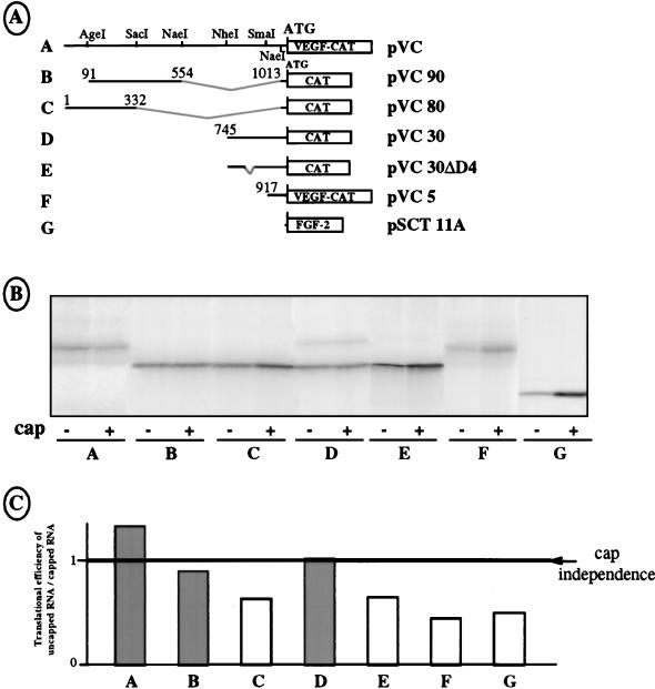 FIG. 9