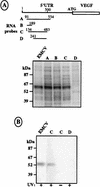 FIG. 8